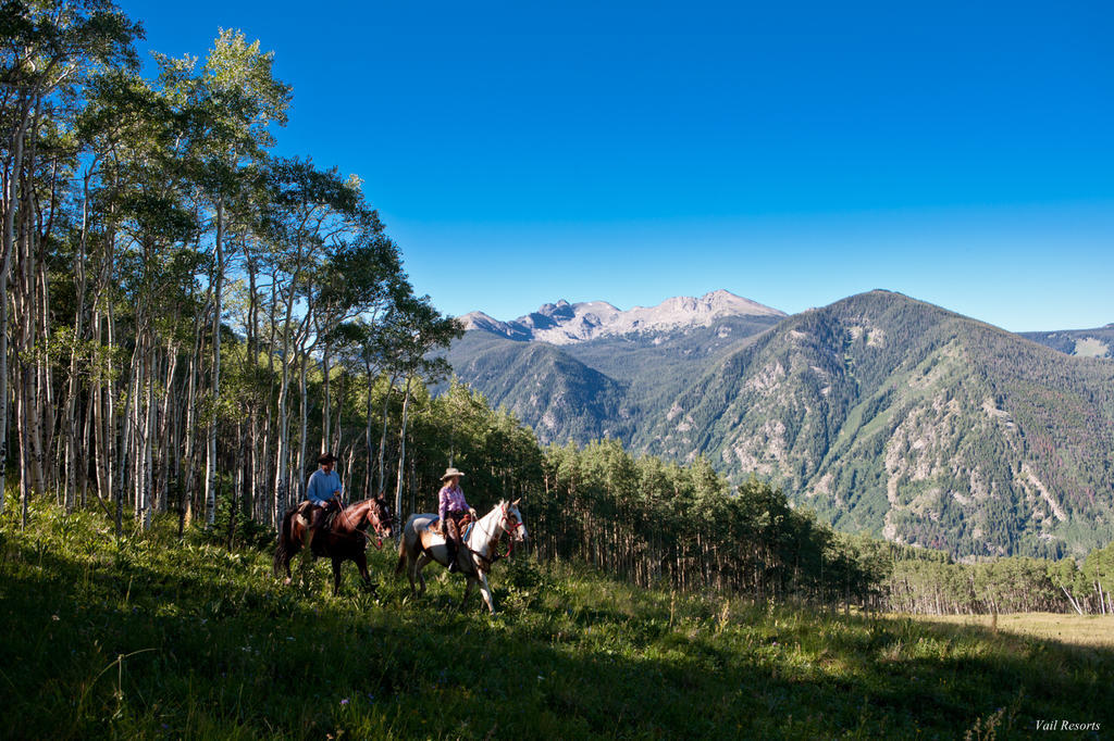 Poste Montane Lodge By East West Бийвър Крийк Екстериор снимка